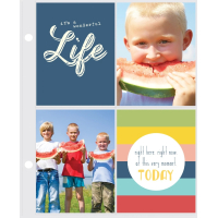 Simple Stories SN@P! Pocket Page Refills 3x4 Inch (4086)